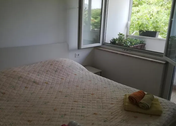 Apartman Kata , Centar *